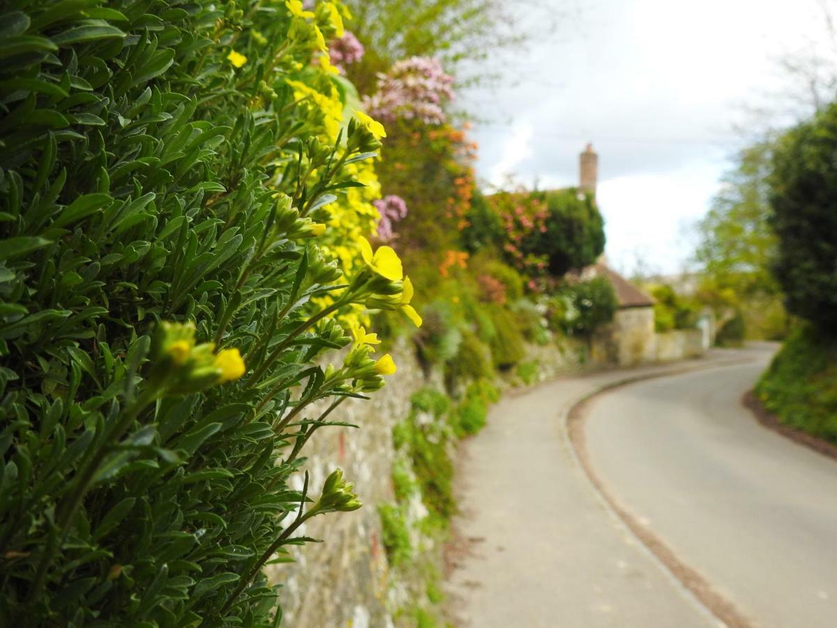 Church Combe - Petworth West Sussex エクステリア 写真