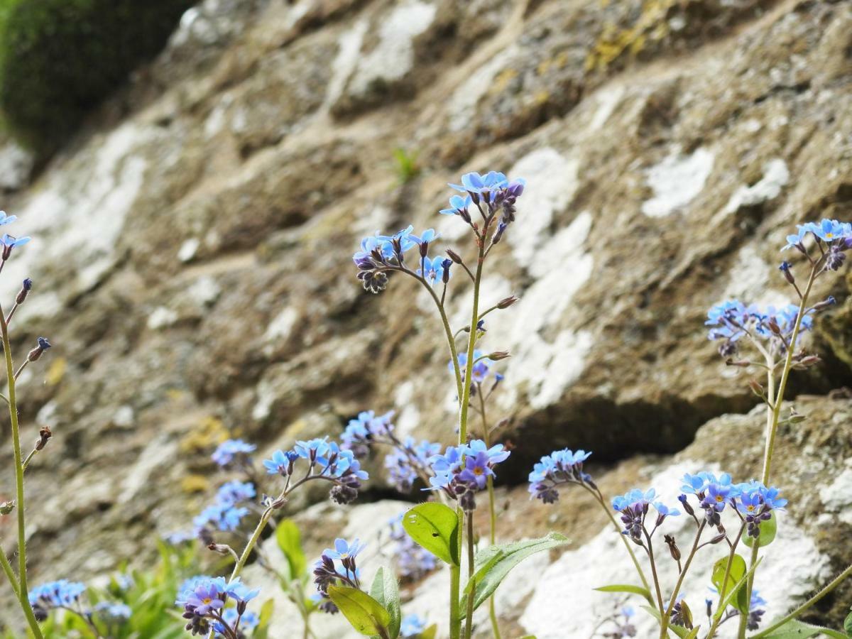 Church Combe - Petworth West Sussex エクステリア 写真